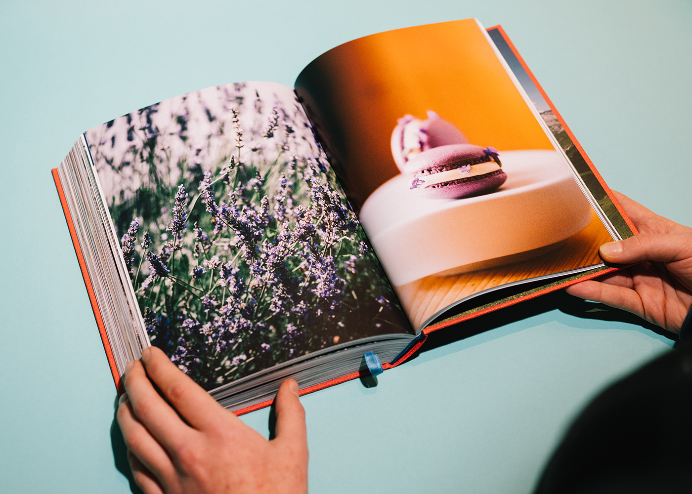 ROTE WAND  - DAS KOCHBUCH