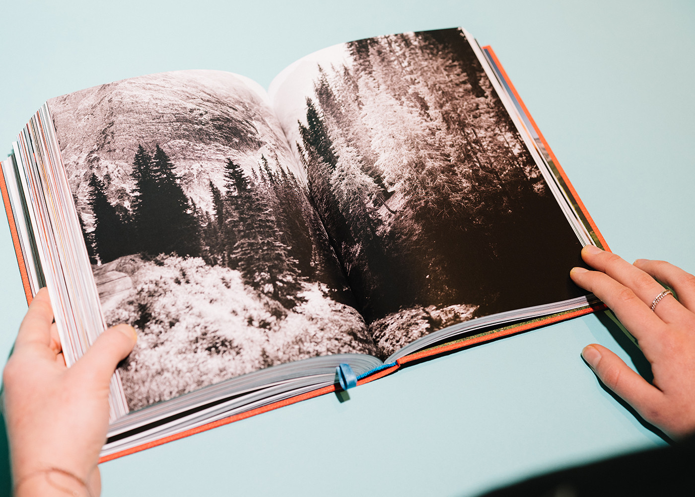 ROTE WAND  - DAS KOCHBUCH