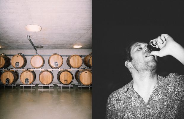 DAVID GÖLLES - ESSIG  - SCHNAPS